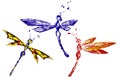 Red blue yellow paint made dragonfly set Royalty Free Stock Photo