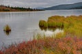 Red Blueberry Bushes surround a clear blue lake in Alaska. Royalty Free Stock Photo