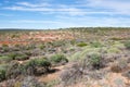 Red Bluff Bushland Royalty Free Stock Photo