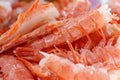 Red boiled cleared shrimp close-up Royalty Free Stock Photo