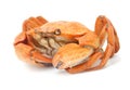 Red boiled crab isolated on white background Royalty Free Stock Photo