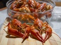 Red boiled crayfish Astacus astacus with pincers close up Royalty Free Stock Photo