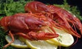 red boiled crayfish with lemon and dill Royalty Free Stock Photo