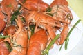 Red boiled crayfish in spices and herbs on a white plate Royalty Free Stock Photo