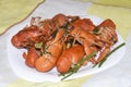 Red boiled crayfish in spices and herbs on a white plate Royalty Free Stock Photo