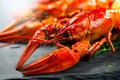 Red boiled crayfish on stone slate. Crawfish closeup