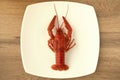 Red boiled crayfish on a white square plate on wooden table. Royalty Free Stock Photo