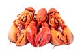 Red boiled lobster Royalty Free Stock Photo