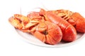 Red boiled lobster Royalty Free Stock Photo