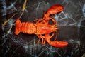 Red boiled lobster seafood on black plate background Royalty Free Stock Photo