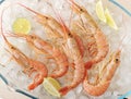 Red boiled shrimp with lime on ice Royalty Free Stock Photo