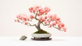Pink Buds Bonsai Tree: Realistic Color Scheme With Symbolism And Precisionism Influence