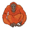 Red book orangutan color vector character front view figure