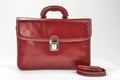 Red, Bordoux Briefcases with Professional Style with white background