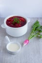 Red borsch in the plate and garden radish Royalty Free Stock Photo