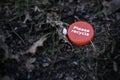 Red bottle cap with `Please recycle` message lying ironically on the grass ground in the middle of a park. Recycling concept.