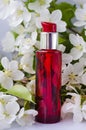 Red bottle with a dispenser for creams on a background of spring white flowers of an apple tree on a white background. For Royalty Free Stock Photo