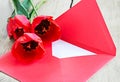 Red bouquet of tulips & envelope on wooden background. Royalty Free Stock Photo