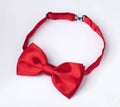 red bow tie Royalty Free Stock Photo