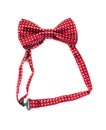 Red bow tie. white background. Royalty Free Stock Photo