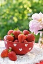 Red bowl with fresh strawberries in the garden Royalty Free Stock Photo