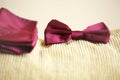 Red bowtie tux Royalty Free Stock Photo