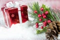 Red Box And Christmas Leaves In Snow