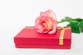 Red box and pink rose on a white background, a gift for the beloved. Your gifts