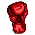 Red boxing glove sketch in isolated white background. Vintage sporting equipment for kickboxing in engraved style Royalty Free Stock Photo