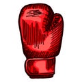 Red boxing glove sketch in isolated white background. Vintage sporting equipment for kickboxing in engraved style Royalty Free Stock Photo