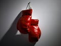 Red Boxing Gloves Royalty Free Stock Photo