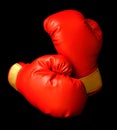 Red Boxing Gloves Royalty Free Stock Photo