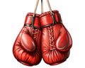 Red boxing gloves hanging on a rope isolated on white background Royalty Free Stock Photo