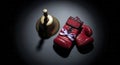 Red Boxing Gloves and Punching Bag Royalty Free Stock Photo