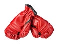 Red Boxing Gloves