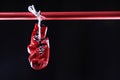 Red boxing gloves on a ring. black background Royalty Free Stock Photo