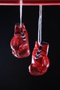 Red boxing gloves on a ring. black background Royalty Free Stock Photo