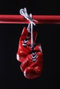 Red boxing gloves on a ring. black background Royalty Free Stock Photo