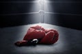 Red boxing gloves on the ring Royalty Free Stock Photo