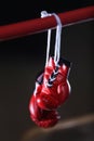 Red boxing gloves on a ring. black background Royalty Free Stock Photo