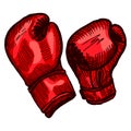 Red boxing gloves sketch in isolated white background. Vintage sporting equipment for kickboxing in engraved style Royalty Free Stock Photo