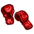 Red boxing gloves sketch in isolated white background. Vintage sporting equipment for kickboxing in engraved style Royalty Free Stock Photo