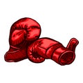 Red boxing gloves sketch in isolated white background. Vintage sporting equipment for kickboxing in engraved style Royalty Free Stock Photo