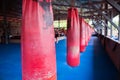 Red Boxing sand bags hanging at gym.