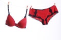 Red bra Royalty Free Stock Photo