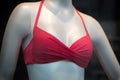Red bra of bikini on mannequin in a fashion store showroom