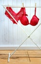 Red bra and panties drying on clothes rack Royalty Free Stock Photo