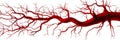 Red Branching Network Abstract image network system connection branching structure Symbolizes flow circulation and