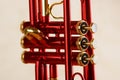 Red brass trumpet Royalty Free Stock Photo