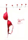 Red brassiere hanging on clothesline